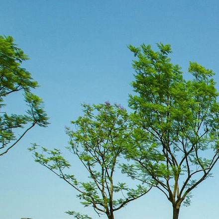 宿遷公司標(biāo)識(shí)標(biāo)牌設(shè)計(jì)招標(biāo)